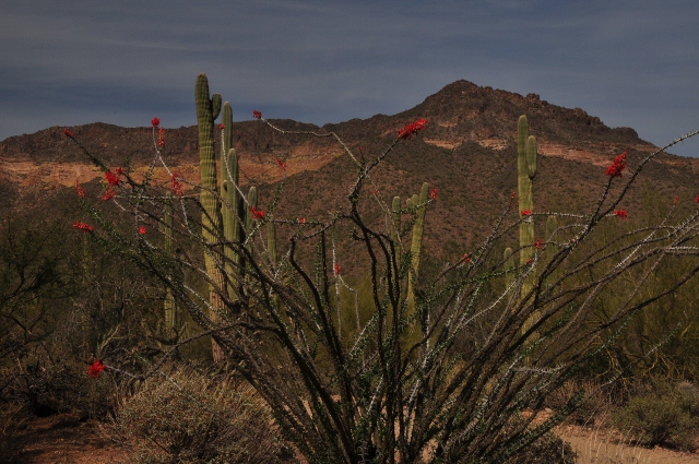 Usery Mountains